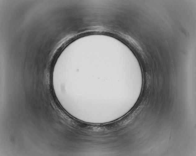 X0000111391318200908071247