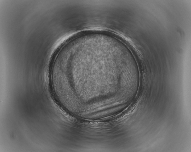 X0000111391319200908071247