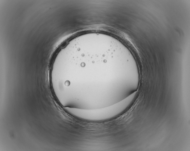 X0000111391320200908071247
