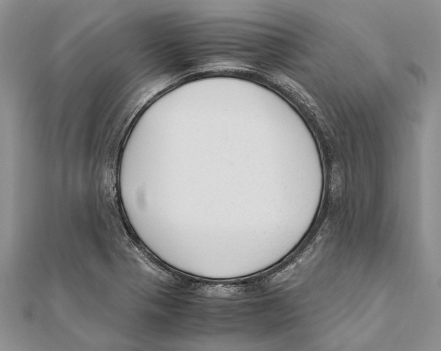 X0000111391321200908071247