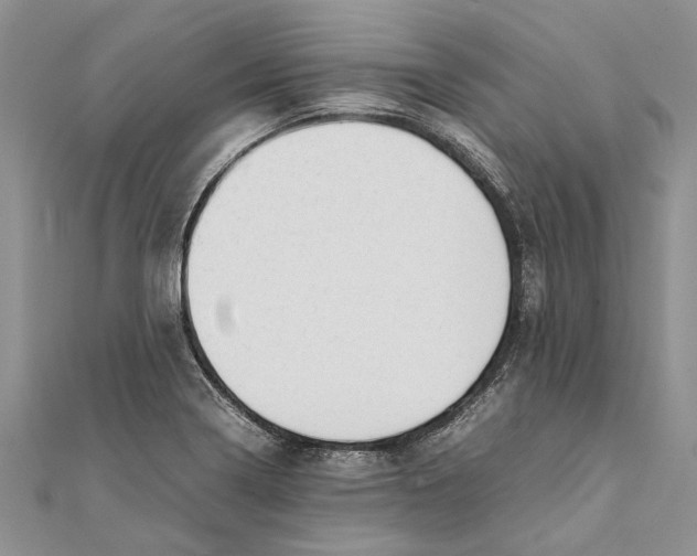 X0000111391322200908071247