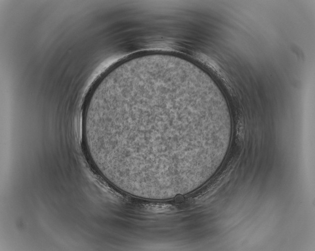 X0000111391323200908071247