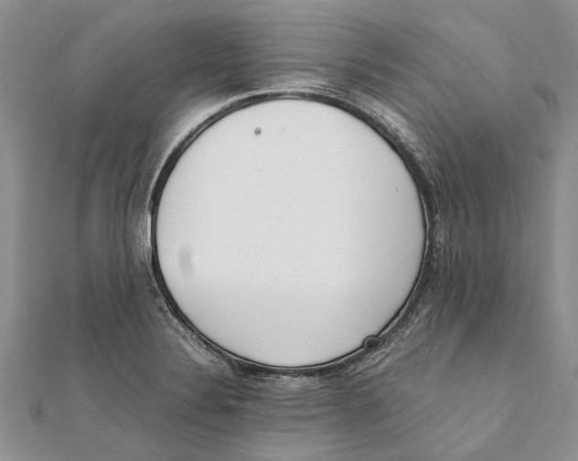 X0000111391324200908071247