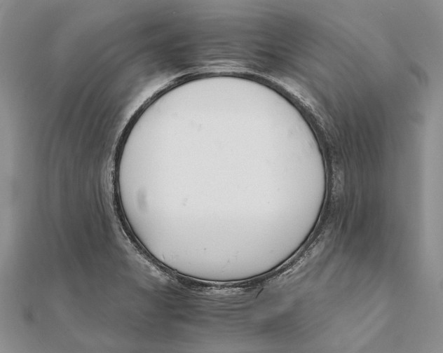 X0000111391325200908071247