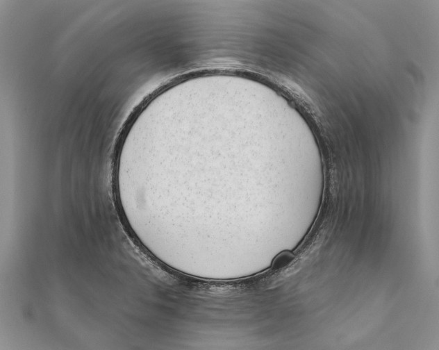 X0000111391326200908071247