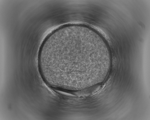 X0000111391327200908071247
