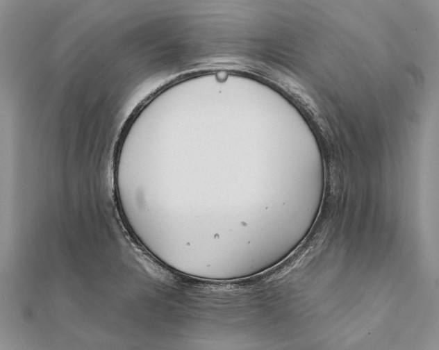X0000111391328200908071247