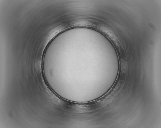 X0000111391330200908071248
