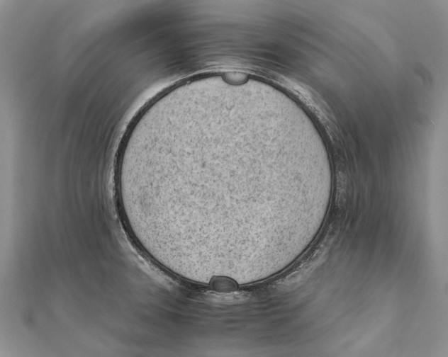 X0000111391331200908071248
