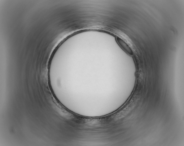 X0000111391332200908071248