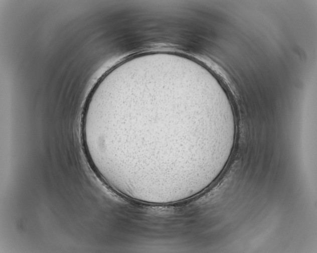 X0000111391333200908071248