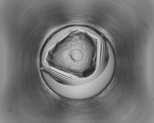X0000111391334200908071248