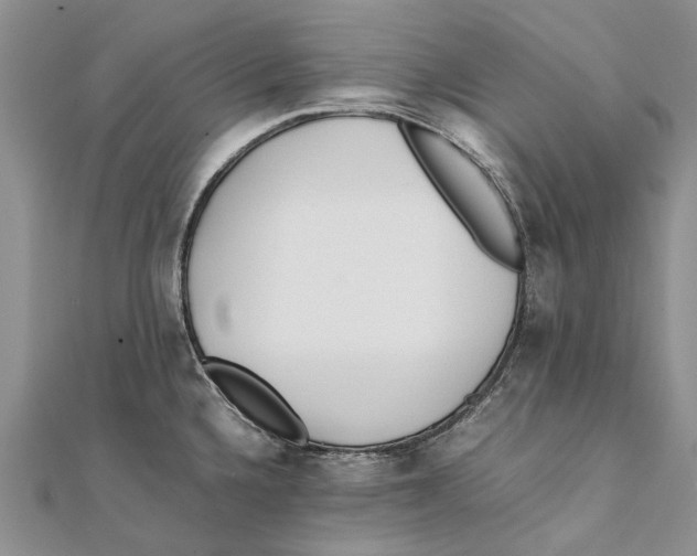 X0000111391336200908071248