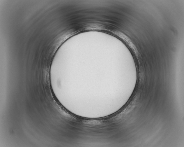 X0000111391337200908071248