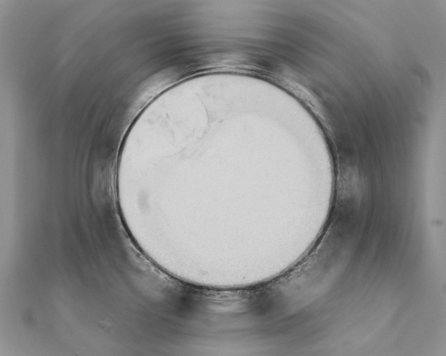 X0000111391338200908071248
