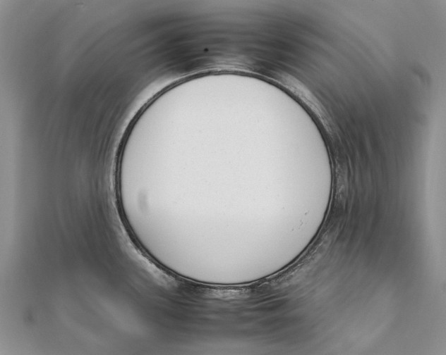X0000111391339200908071248