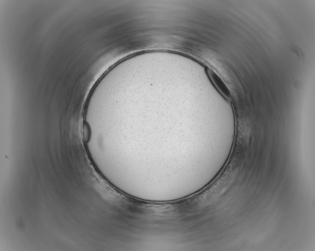 X0000111391340200908071248