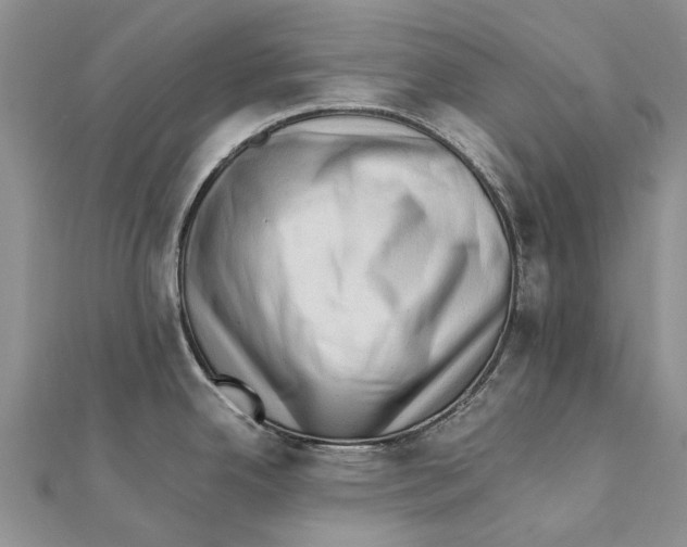 X0000111391342200908071248