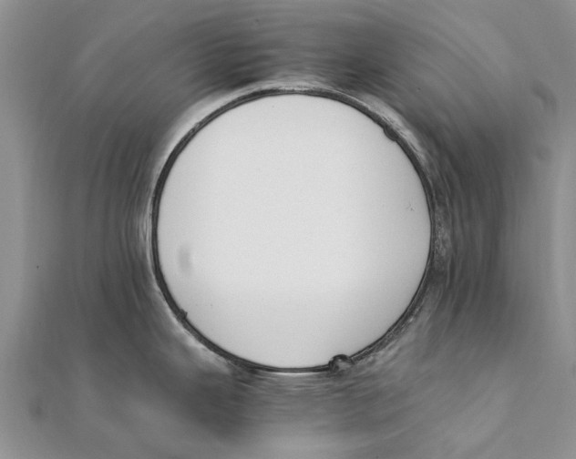 X0000111391343200908071248