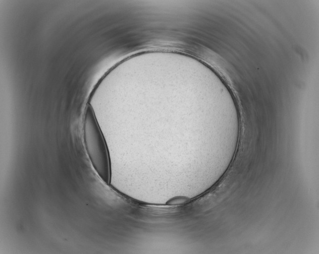 X0000111391344200908071248