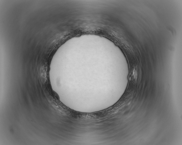 X0000111391348200908071247