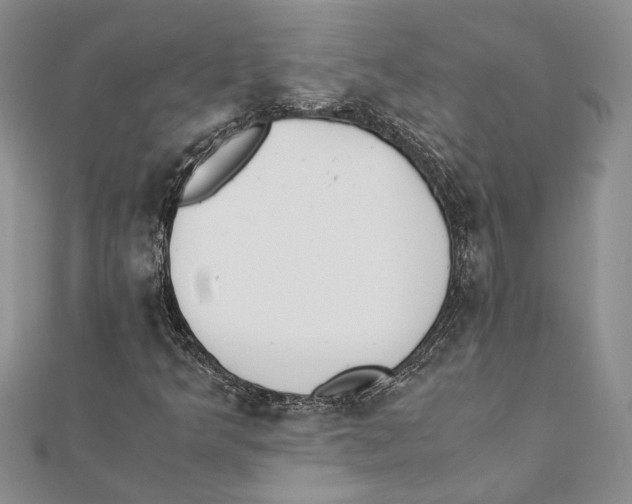 X0000111391349200908071247