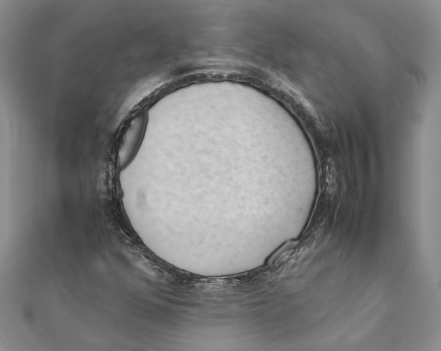 X0000111391352200908071247