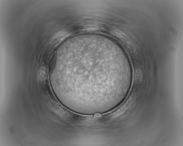 X0000111391353200908071247