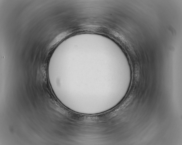 X0000111391354200908071247
