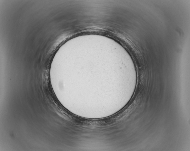 X0000111391355200908071247