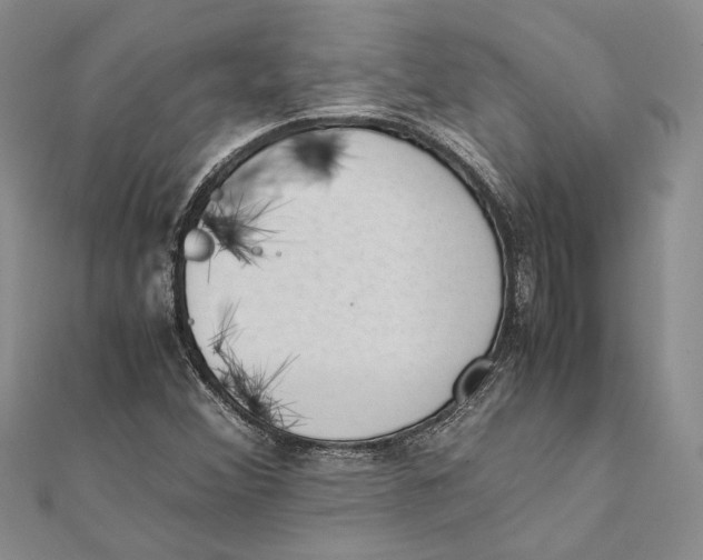 X0000111391356200908071247