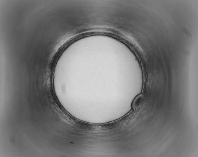 X0000111391360200908071247