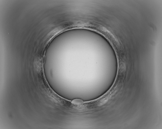 X0000111391361200908071247