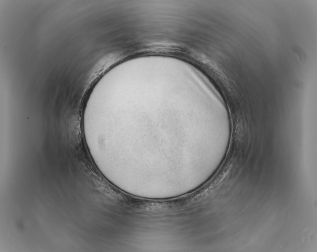 X0000111391362200908071247