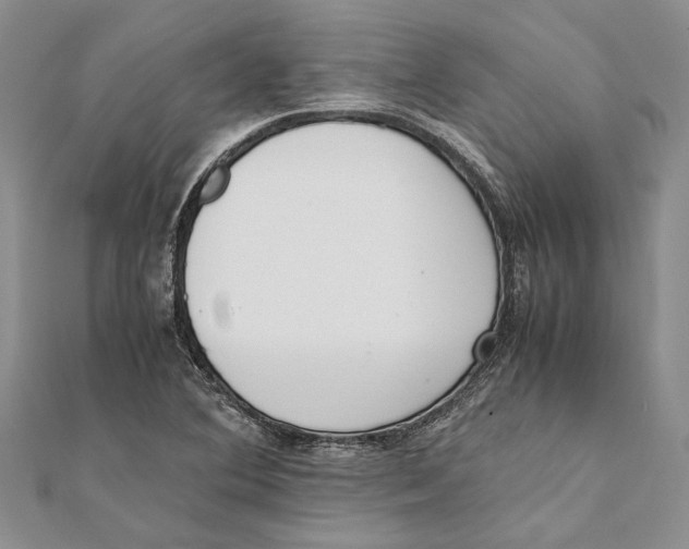 X0000111391364200908071247