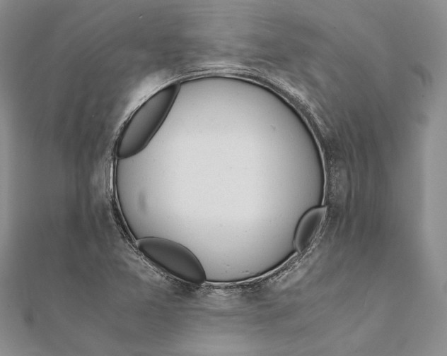 X0000111391365200908071247
