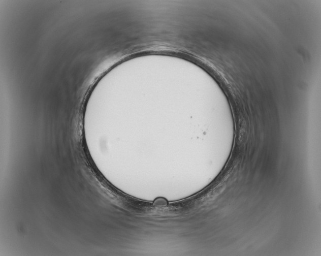 X0000111391367200908071247