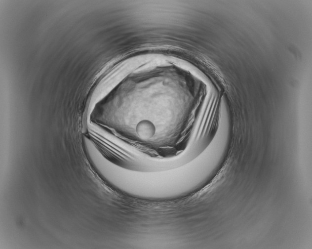 X0000111391369200908071247