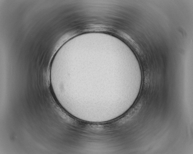 X0000111391370200908071247