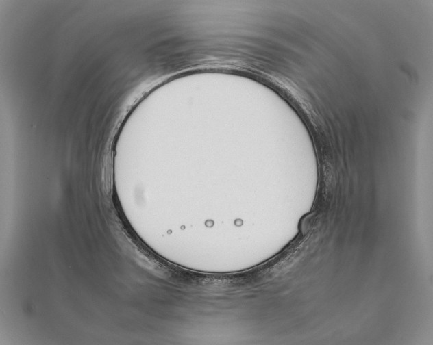 X0000111391371200908071247