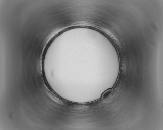 X0000111391372200908071247