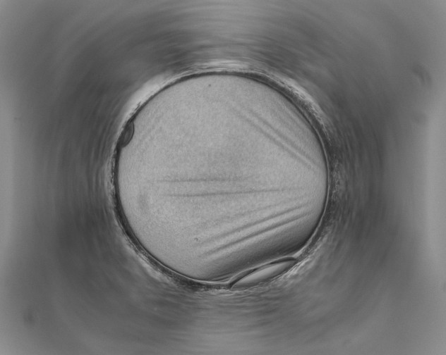 X0000111391373200908071247
