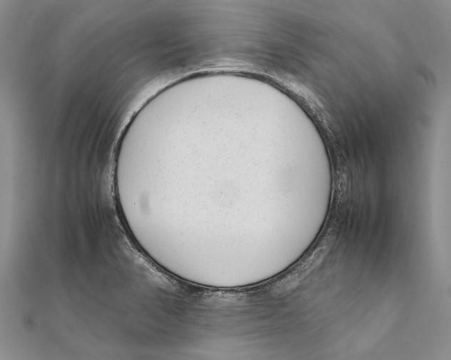 X0000111391374200908071247