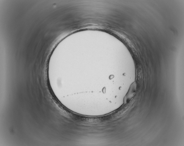 X0000111391375200908071247