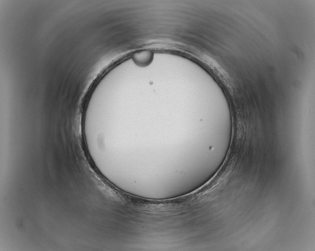 X0000111391376200908071247