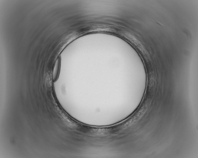 X0000111391377200908071247