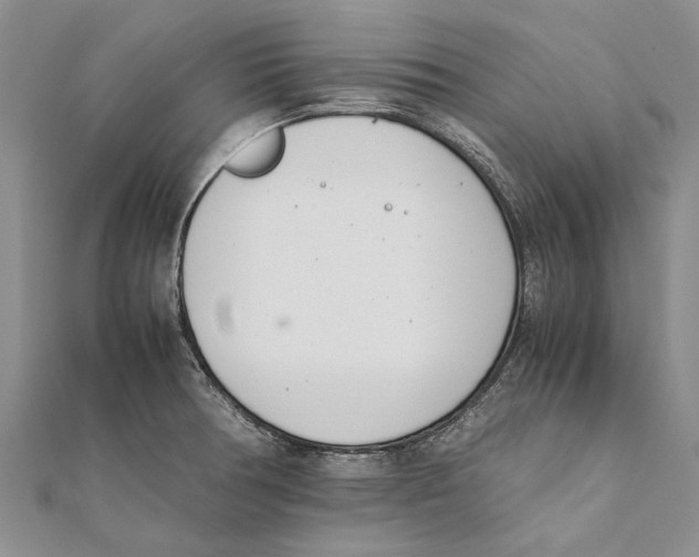 X0000111391378200908071247