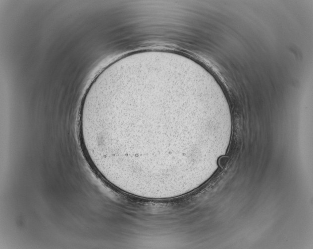 X0000111391379200908071247