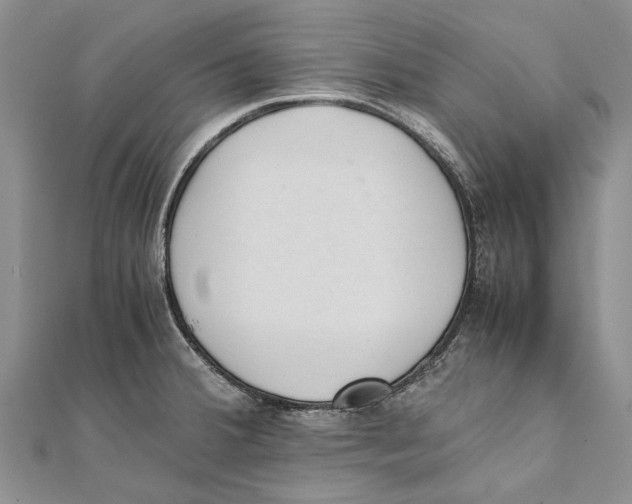 X0000111391380200908071247