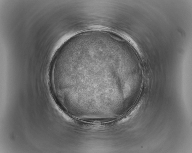 X0000111391381200908071247